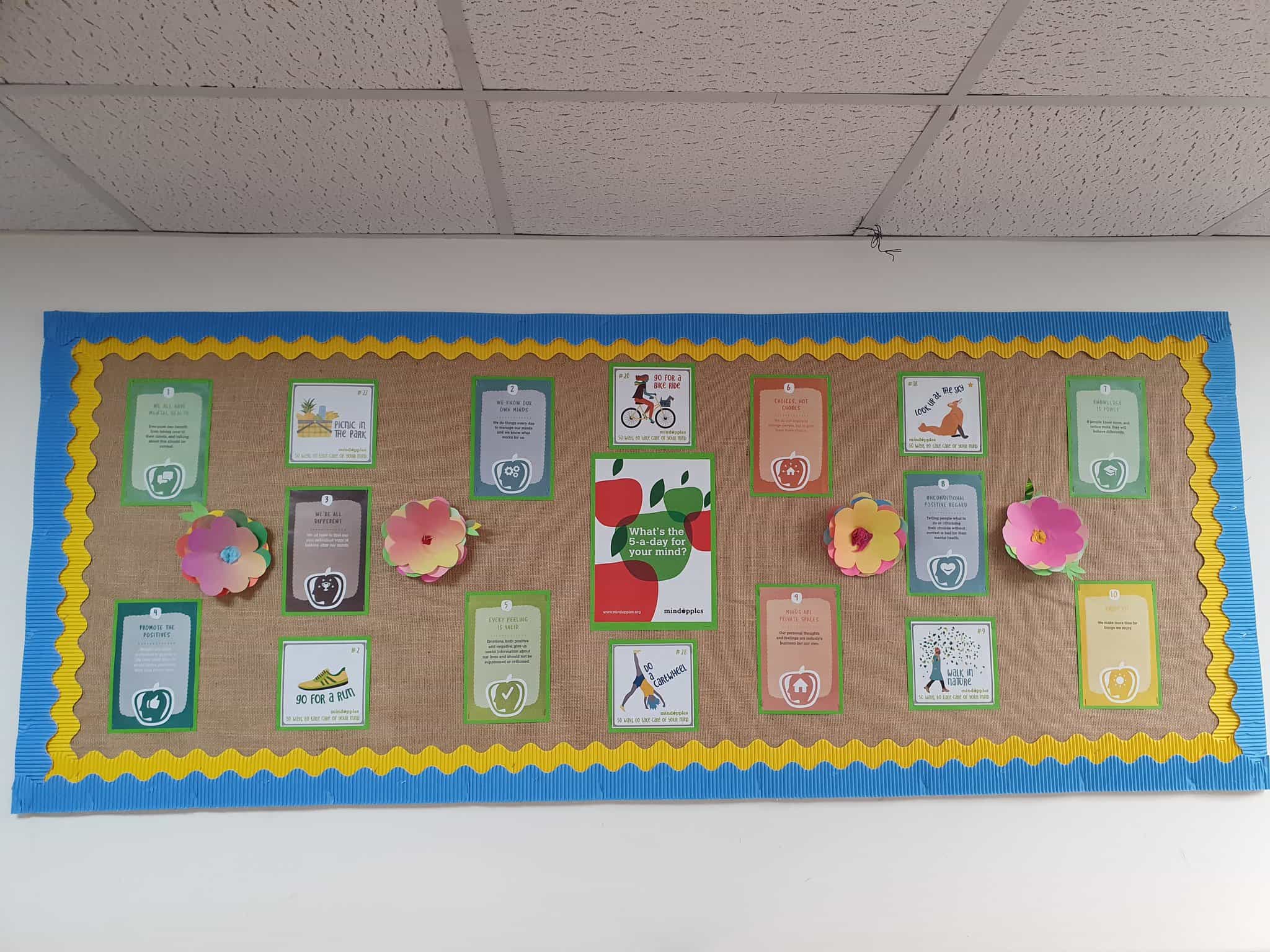 School noticeboard featuring Mindapples principles for wellbeing and some of the 50 ways images