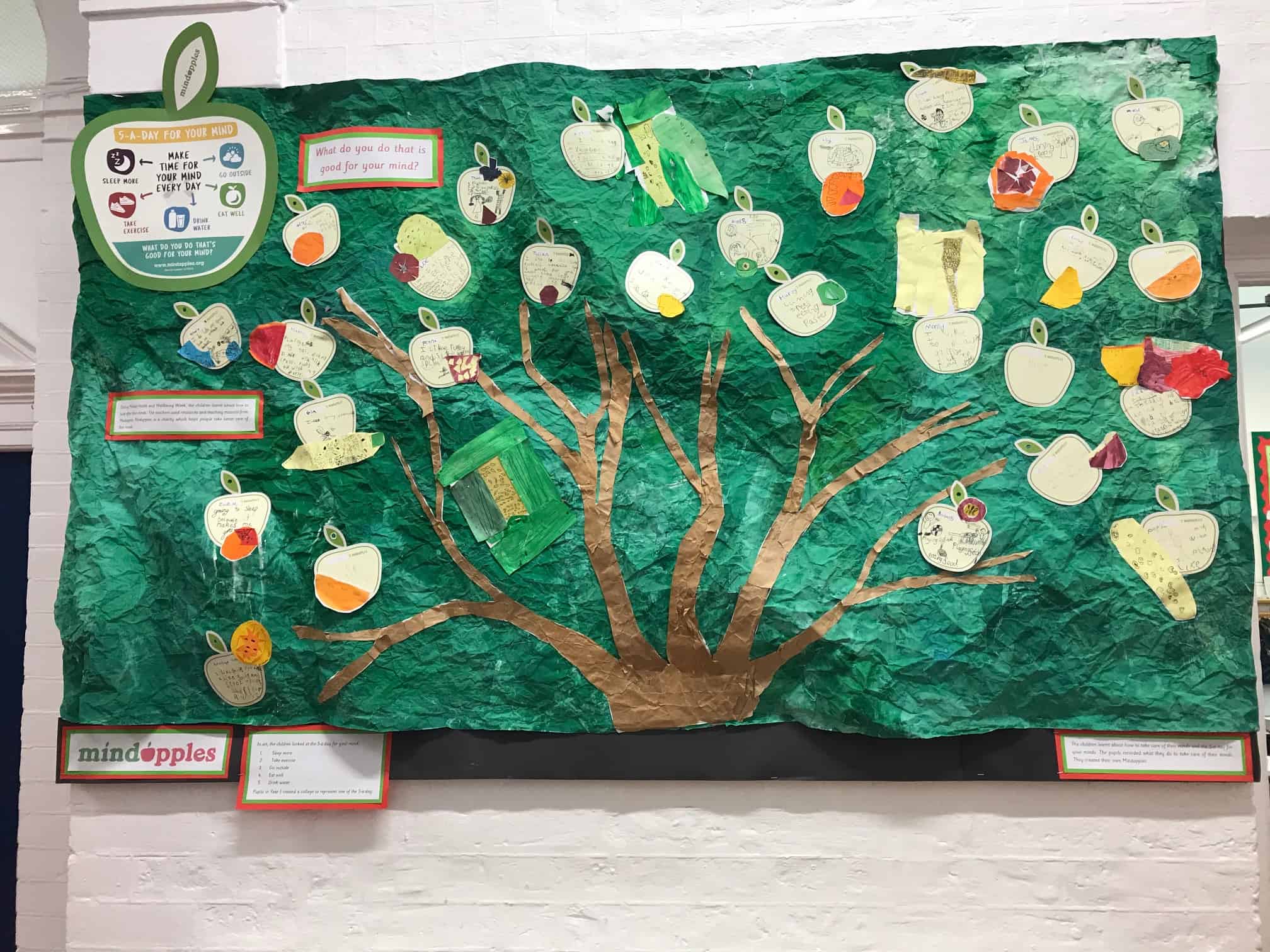 3D image of a handmade tree noticeboard from a school with a green background and brown tree and branches covered in apple shaped cards.