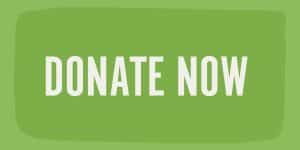 Green button with donate now in white letters