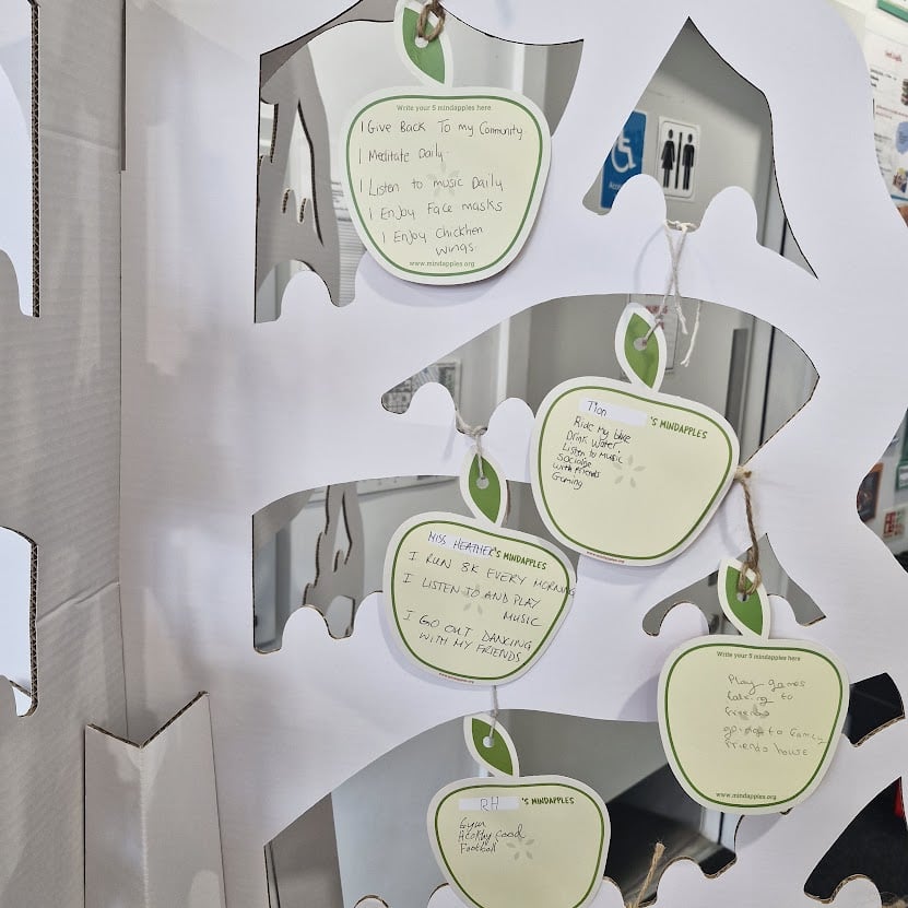 Mindapples display with handwritten notes on mental wellbeing activities.